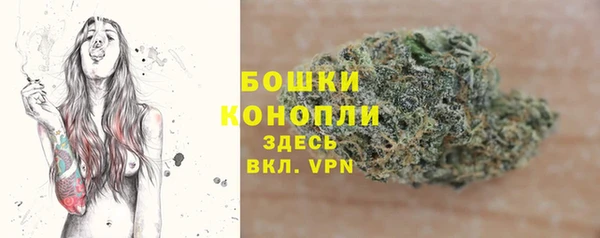 PSILOCYBIN Алзамай