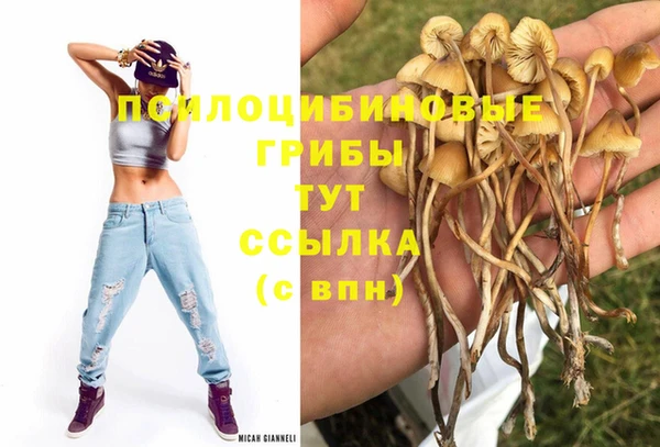 прущие крисы Алексеевка