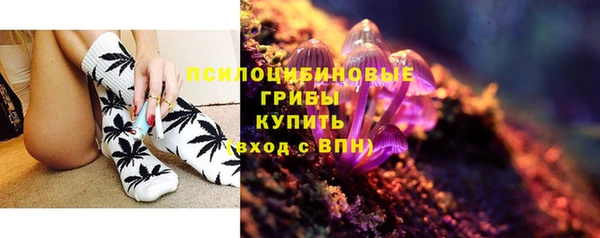 стафф Абаза